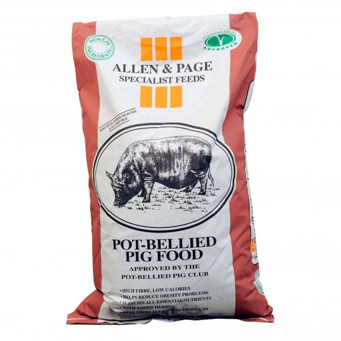 Allen & Page Pot Bellied Pig