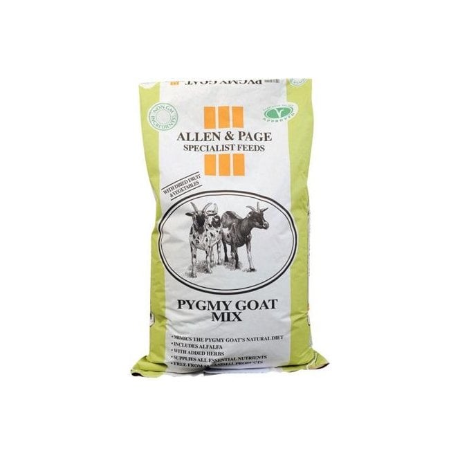 Allen & Page Pygmy Goat Mix