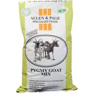 Pygmy Goat Mix