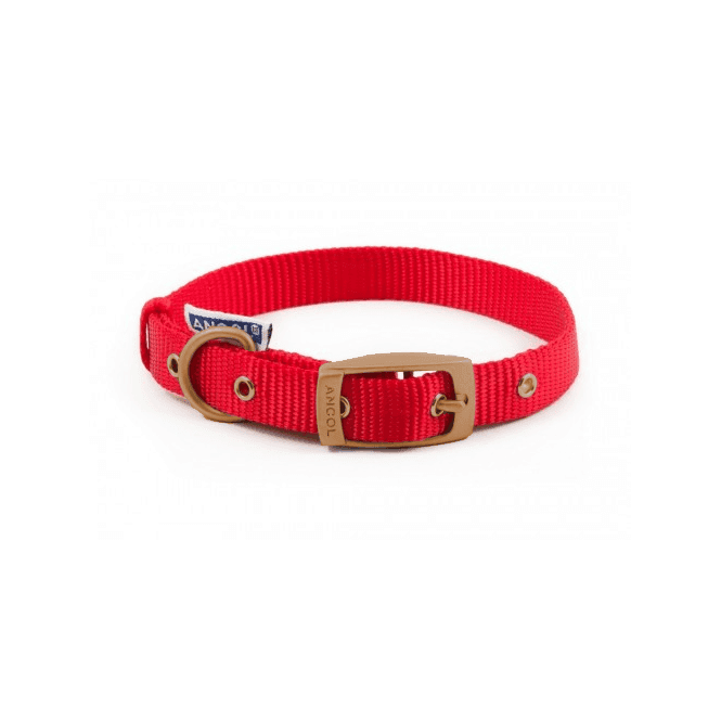 Ancol Nylon Dog Collar