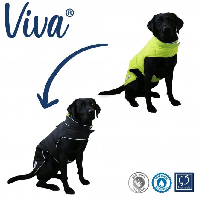 Ancol Viva Reversible Dog Coat