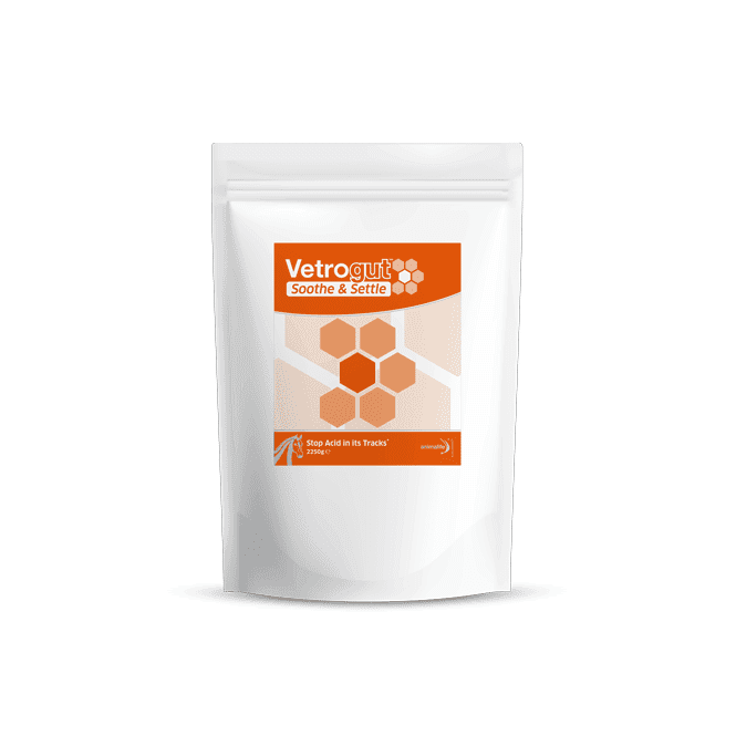 Animalife Vetrogut Soothe & Settle