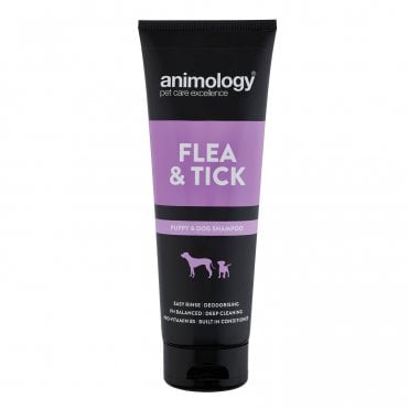 Flea & Tick Shampoo