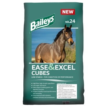 No.24 Ease & Excel Cubes