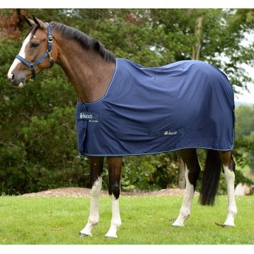 Power Cooler Rug