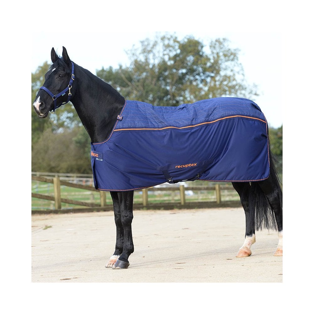 Therapy Rug Bucas Therapy Rug - Horse from Fearns Farm UK