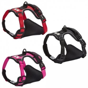 Adventure Harness