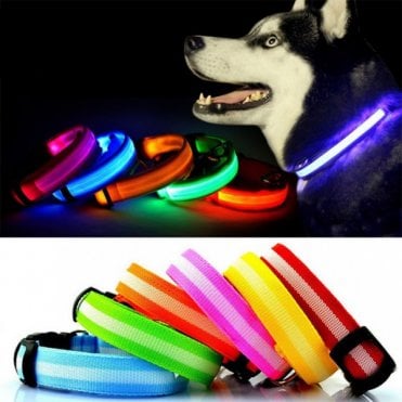 LED Dog Collar