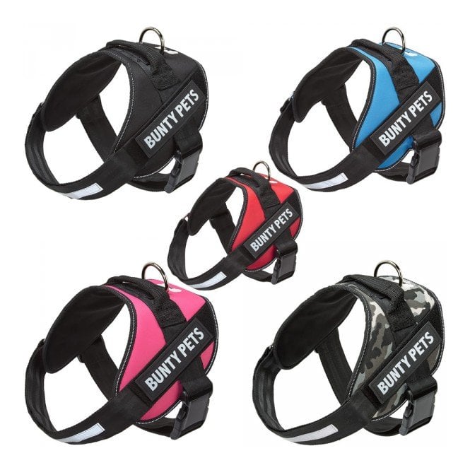 Bunty Pet Yukon Harness