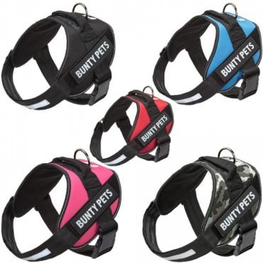 Pet Yukon Harness