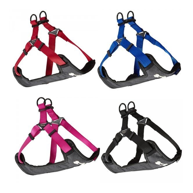 Bunty Strap N Stroll Harness