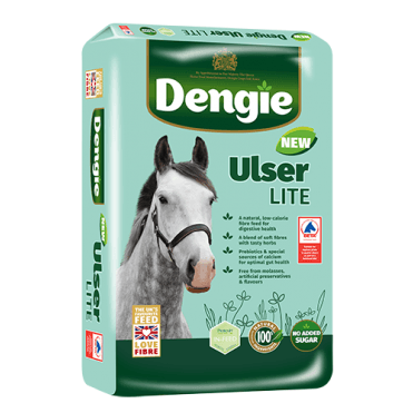 Ulser Lite
