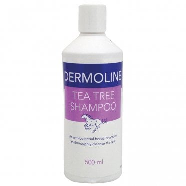 Tea Tree Shampoo