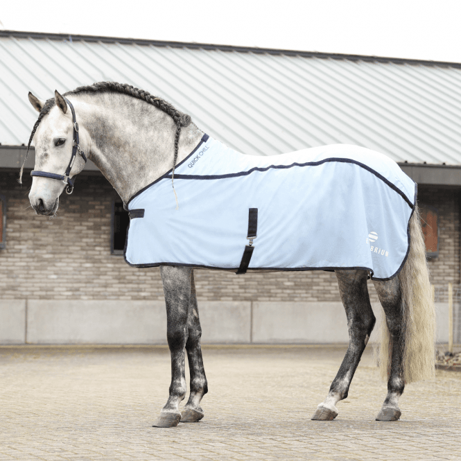 Equilibrium Quick Chill Cool Rug