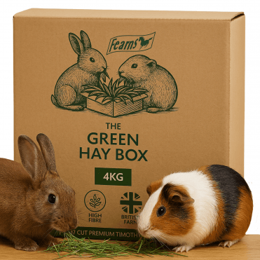Green Hay Box