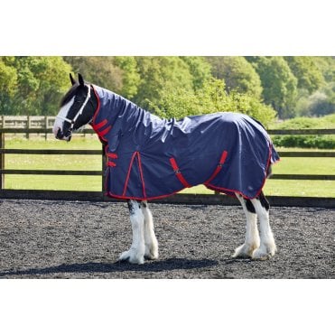100g Fixed Neck Turnout Rug