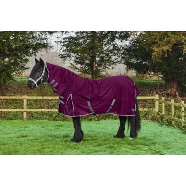 250g Fixed Neck Turnout Rug