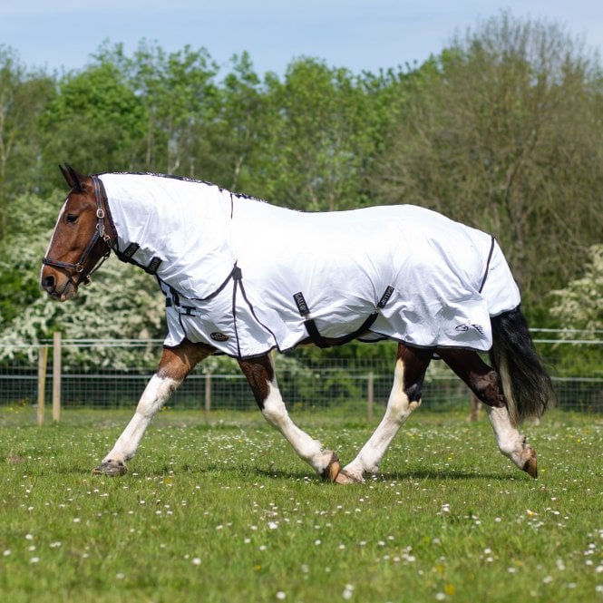Gallop Fly Mesh Dual Rug & Neck Set