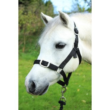 Headcollar & Leadrope Set