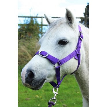 Headcollar & Leadrope Set