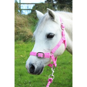 Headcollar & Leadrope Set