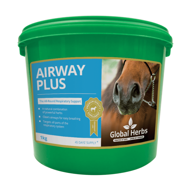 Global Herbs Airway Plus Powder