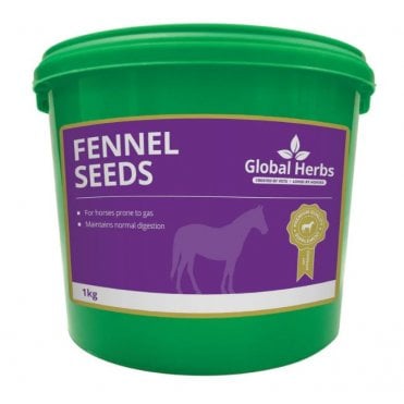 Fennel Seeds