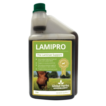 LamiPro Liquid