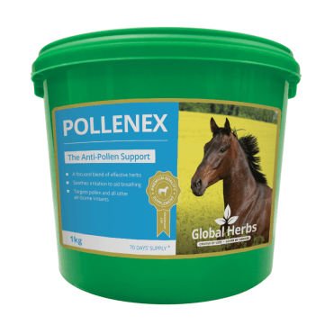 PolleneX Powder