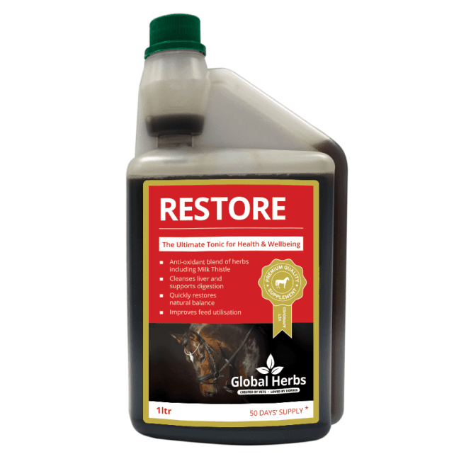 Global Herbs Restore Liquid