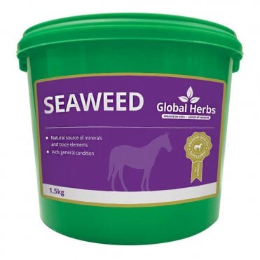 Seaweed