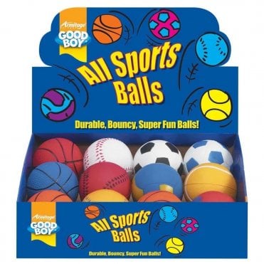 All Sports Ball