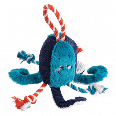 Under the Sea Octopus