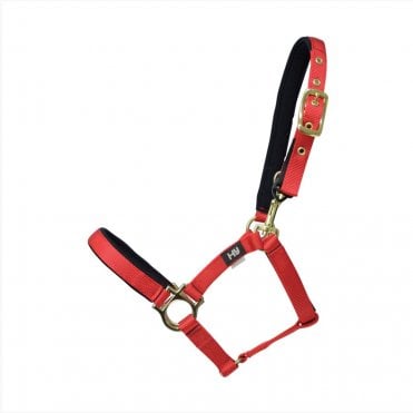 Fieldsafe Head Collar