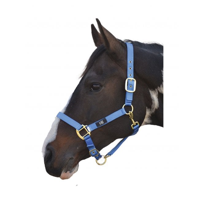 HY Equestrian Headcollar