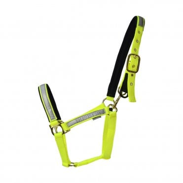 Reflective Fieldsafe Head Collar