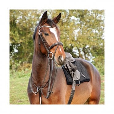 Rosciano Rose Gold Bridle
