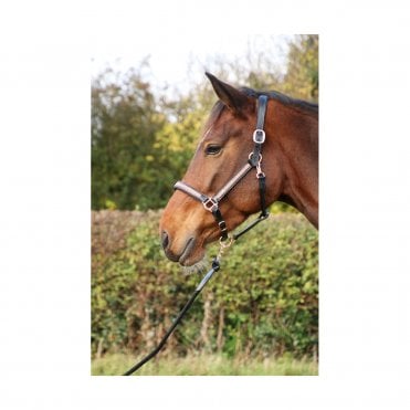 Rosciano Rose Gold Head Collar