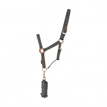 Rose Gold Head Collar And Lead Rope