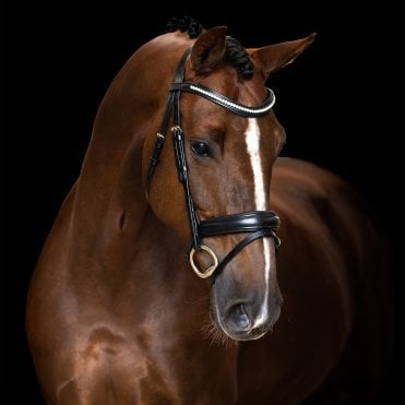 IRH Simple Combined Noseband Bridle