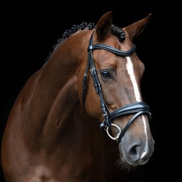 IRH Sleek Combined Noseband English Bridle