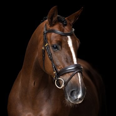 IRH Sleek Combined Noseband English Bridle