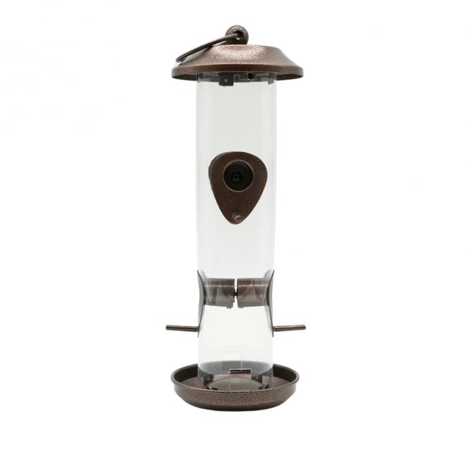 Johnston & Jeff New Orleans Seed Feeder