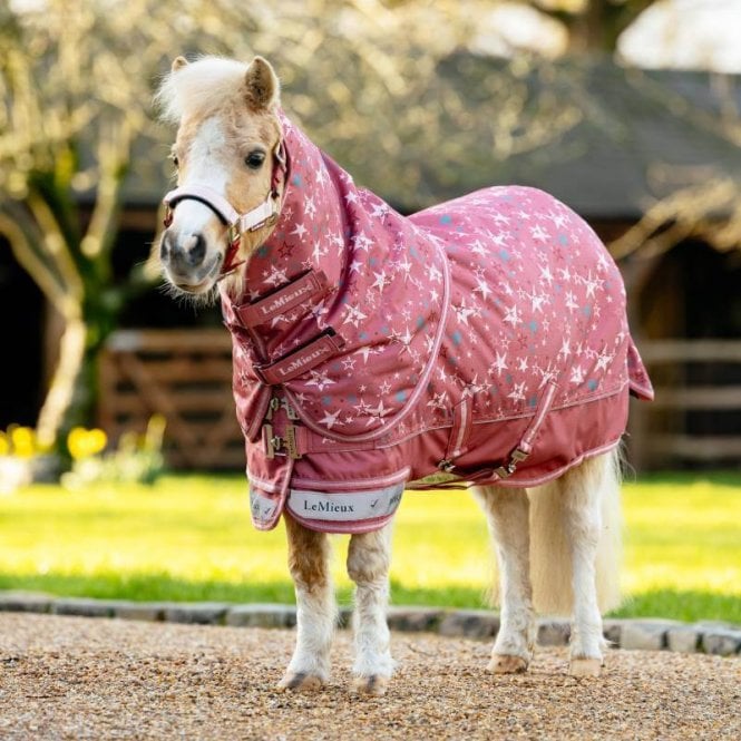 LeMieux Arika Star 100g Turnout Rug