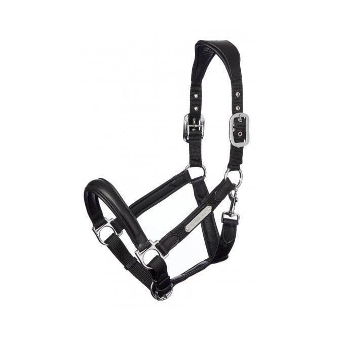 LeMieux Capella Headcollar