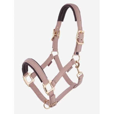 Essence Headcollar
