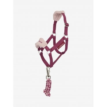 Hobby Horse Headcollar