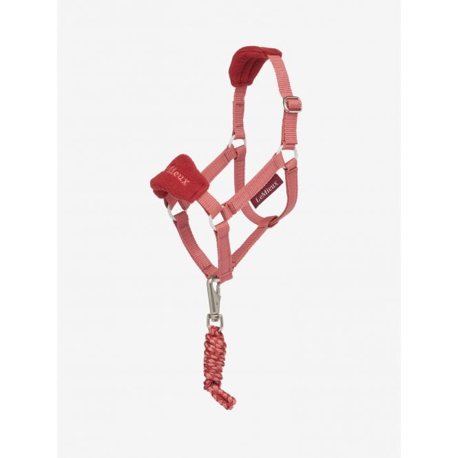 LeMieux Hobby Horse Headcollar