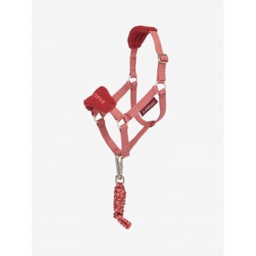 Hobby Horse Headcollar