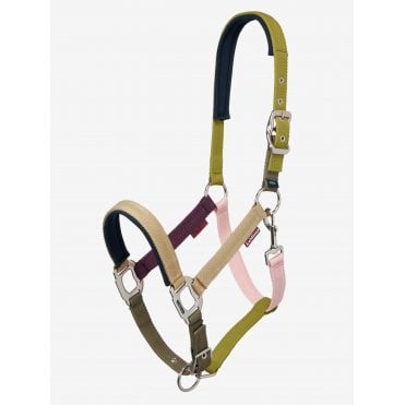 Medley Headcollar